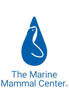 Cetacean Conservation Biology Senior Coordinator