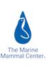  Clinical Veterinary Student Externship Rotation in Marine Mammal Medicine and Pathology